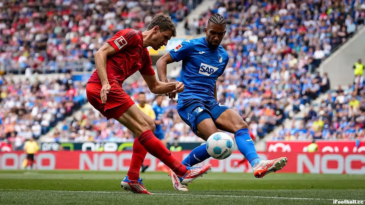 2025年5月17日 德甲24-25赛季第34轮 霍芬海姆vs拜仁 高清国语 1080P TS 4.88GB